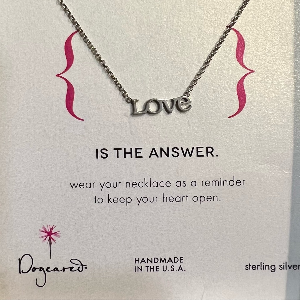 Dogeared Dainty Sterling Silver 'Love' Necklace Gift Ready